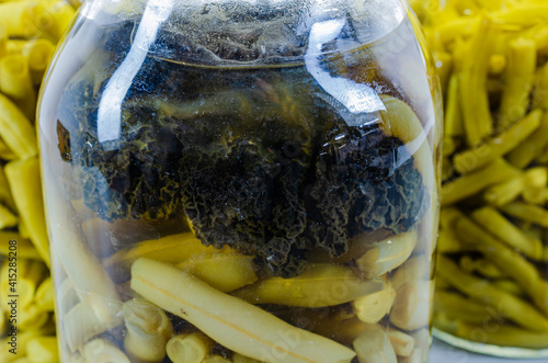 Cuadro en lienzo Homegrown and canned green beans with fungus growing in canning jar