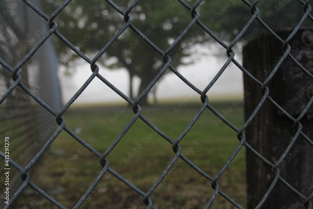 fence and tree fence and tree