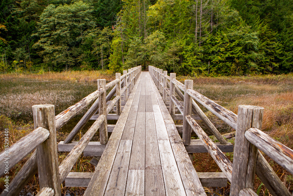 an old wooden foot bridge running over a swampy lake, near Vancouver, British Columbia, Canada