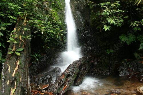 beautiful clear river flow in tropical forest.
