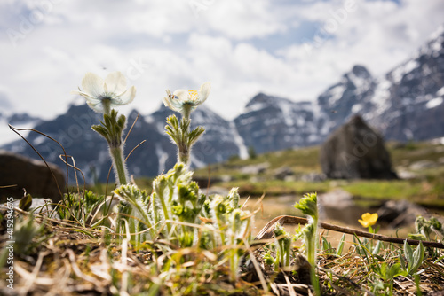 view of the Rocky mountains, near Moraine Lake and Lake Louise, Alberta, Canada