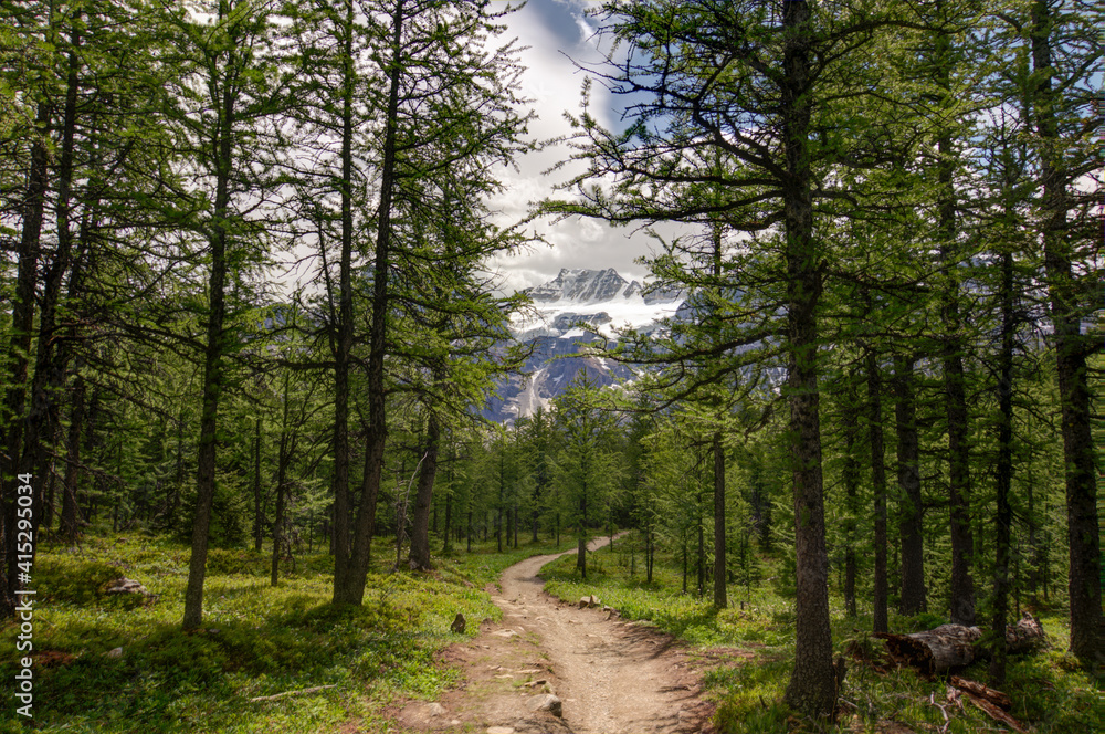 Fototapeta premium view of the Rocky mountains, near Moraine Lake and Lake Louise, Alberta, Canada