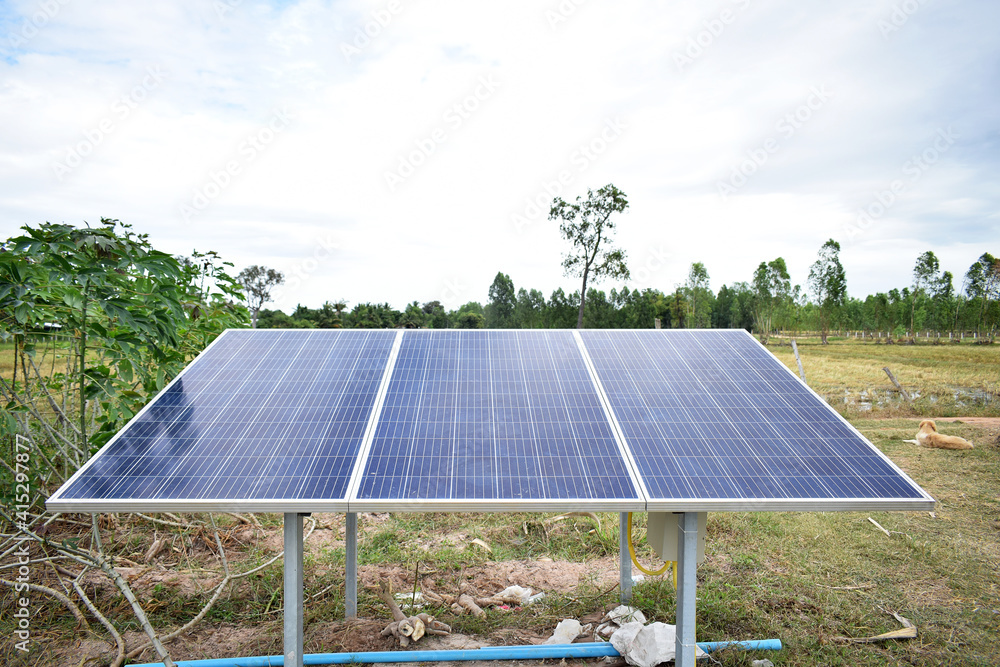 Farm solar photovoltaic panels are used to store electric energy.