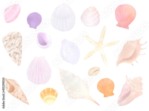 貝殻 水彩イラスト