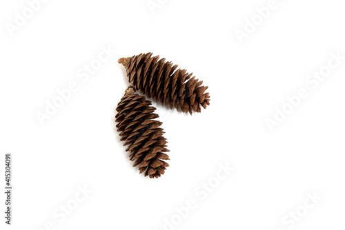 Brown pine cone on white background photographs © Guzalia