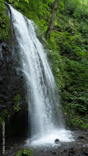 waterfall in the forest