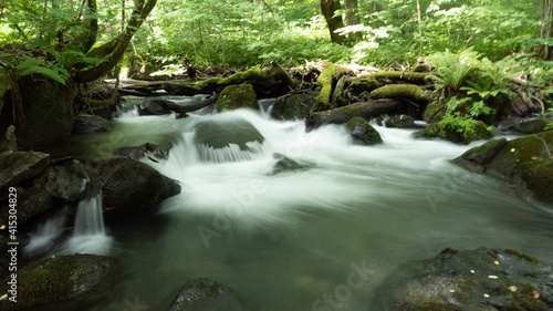 stream in the forest