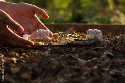 Hand of a gardener planting vegetable in plastic bottle. sustainable lifestyle, zero waste concept.