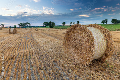 Fototapeta Naklejka Na Ścianę i Meble -  View of the Masurian fields.