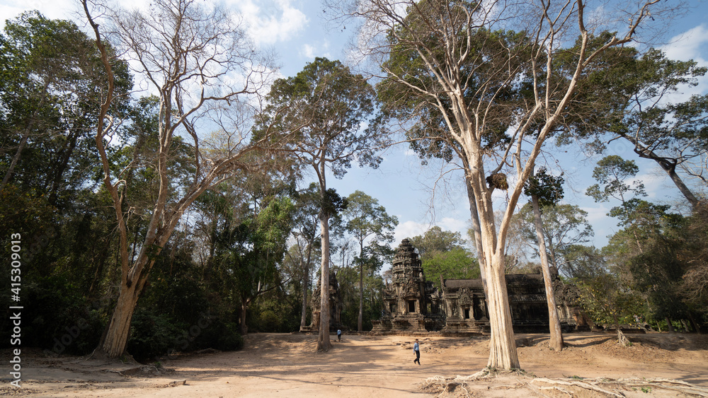 Obraz premium palm trees in the desert