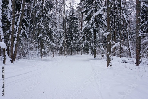 winter road with a ski track in a winter snow-covered forest  nature of Russia