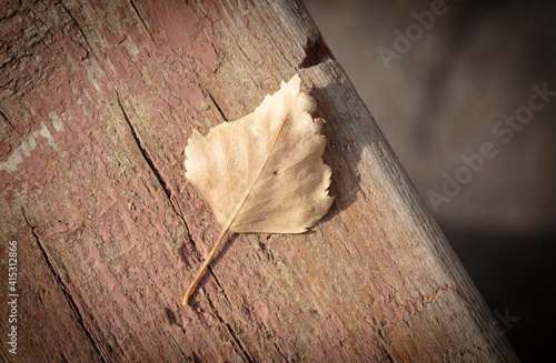 Dry leaf on a wooden board.