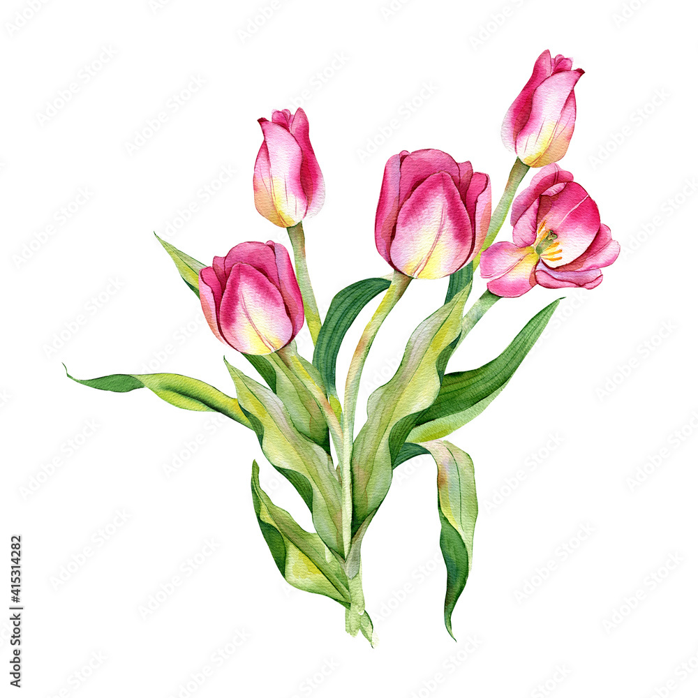 Fototapeta premium Watercolor illustration. Bouquet of tulips. Yellow, pink flowers on a white background. Mother's day drawing.