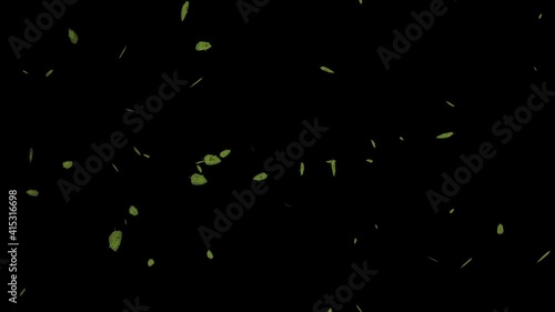 Abstract green beautiful leaves flying in the wind in space. Background decoration. Isolated black background. 3d illustration. photo