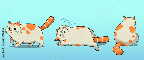 Fat Cat Pose Bundle, Walking, Sleeping, and Pose from behind