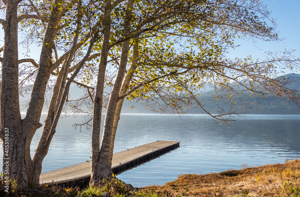 Autumn afternoon, Anderson Creek, Hood Canal  @ Anderson Cove, Holly