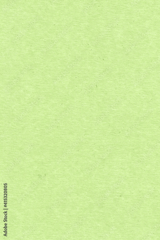 Obraz premium green paper texture