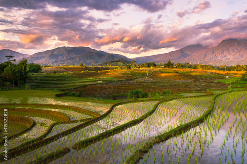 The beauty of kemumu rice terraces with the atmosphere of the clouds at sunset over Mount Bengkulu Utara, Indonesia