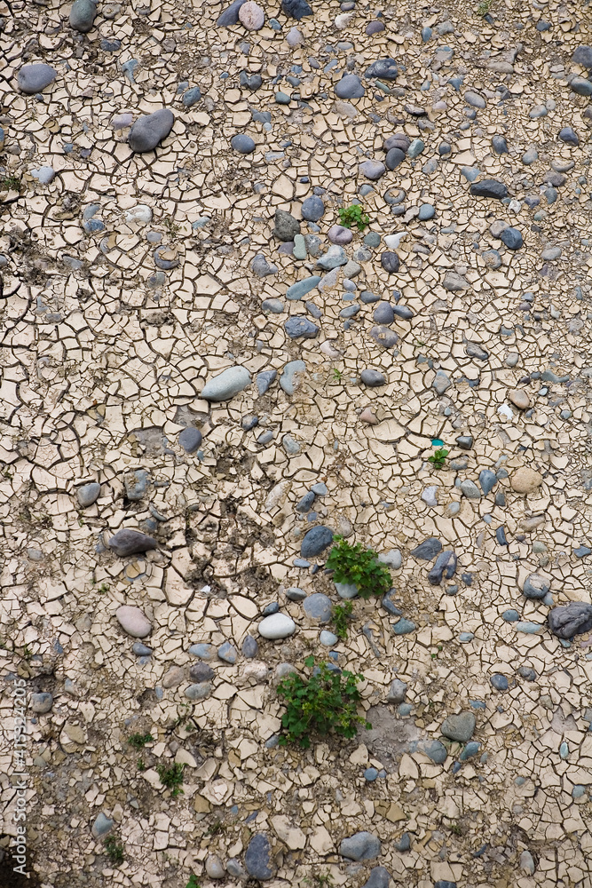 Plants and stones on drought cracked ground. Plants and stones on drought cracked ground.