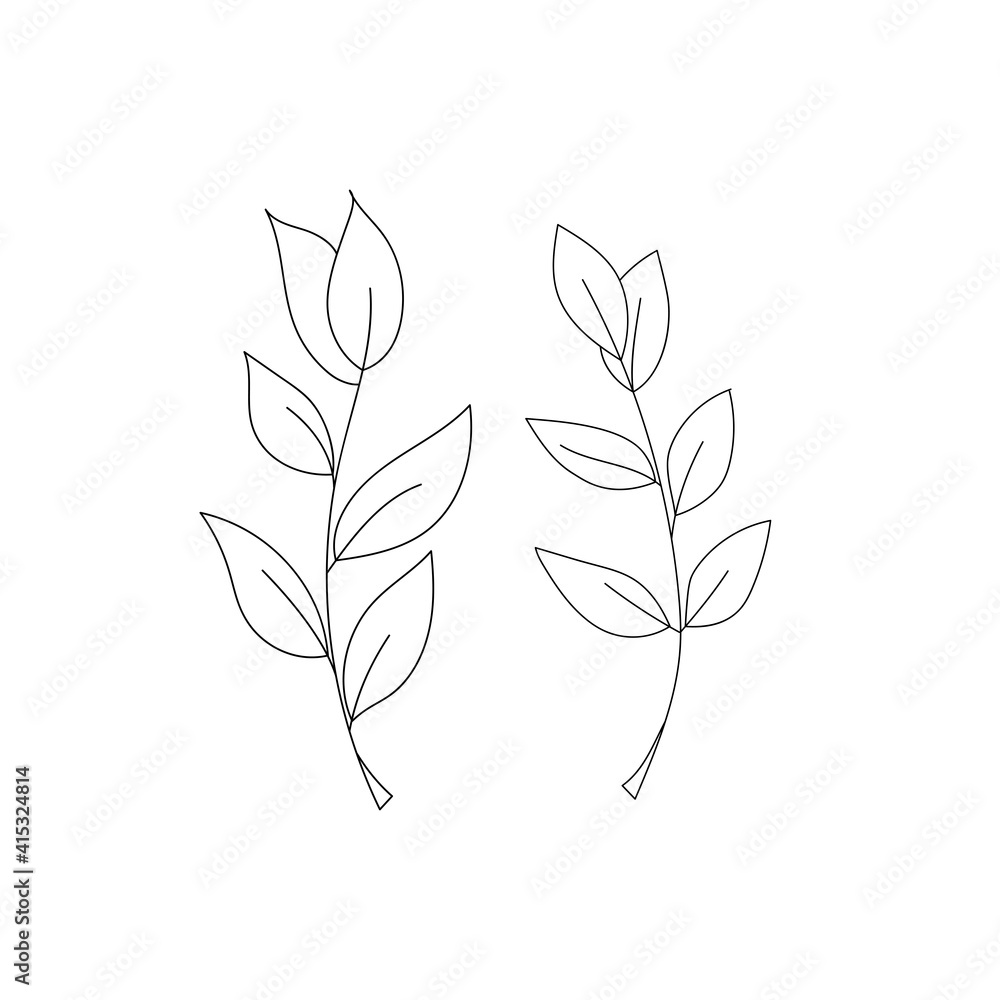 Vector doodle branch. Silhouette of plant. Vector doodle branch. Silhouette of plant.