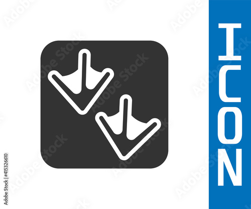Grey Goose paw footprint icon isolated on white background. Vector.