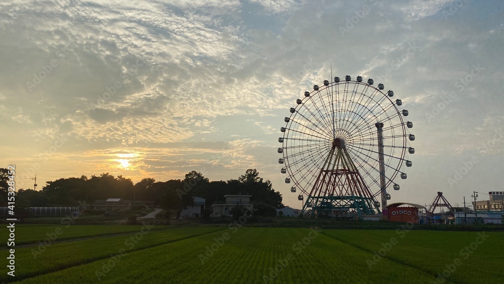 Fototapeta premium ferris wheel at night