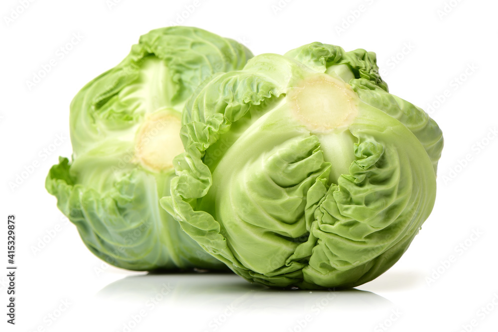 cabbage on white background cabbage on white background