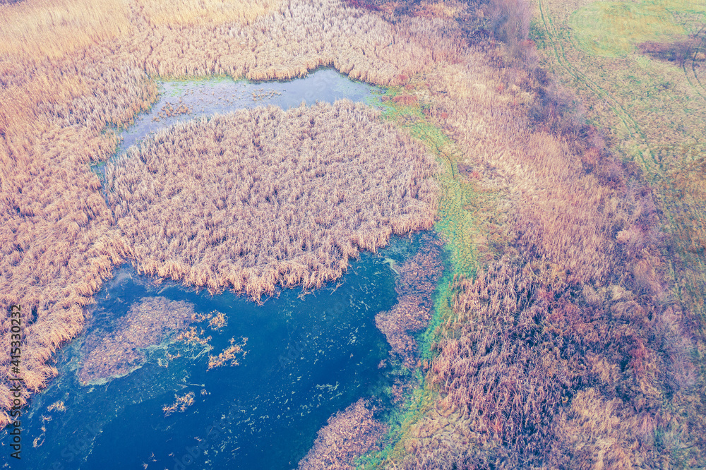 Rural landscape in autumn. Top view of a pond overgrown with reeds. Nature background Rural landscape in autumn. Top view of a pond overgrown with reeds. Nature background