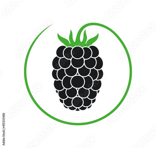 Blackberry logo. Isolated blackberry on white background