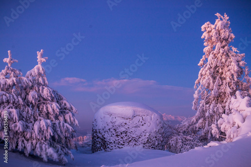 winter forest in the mountain covered by snow