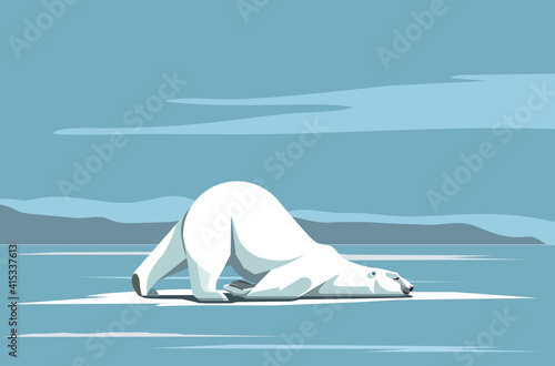 Polar bear