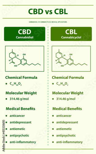 CBD vs CBL, Cannabidiol vs Cannabicyclol vertical infographic illustration about cannabis as herbal alternative medicine and chemical therapy, healthcare and medical vector.