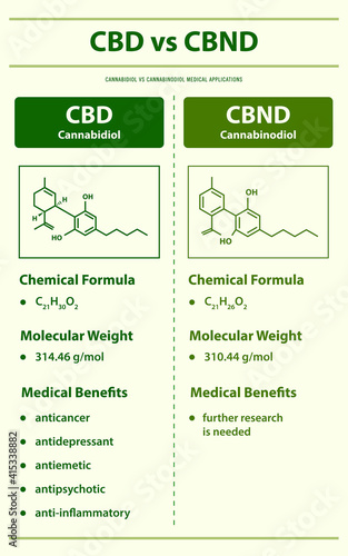 CBD vs CBND, Cannabidiol vs Cannabinodiol vertical infographic illustration about cannabis as herbal alternative medicine and chemical therapy, healthcare and medical vector.