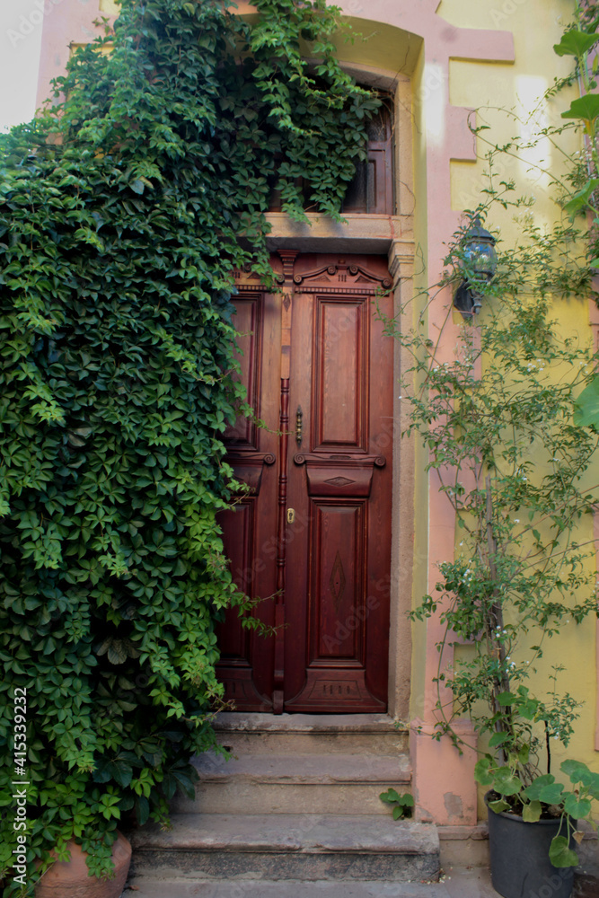 door in a house door in a house