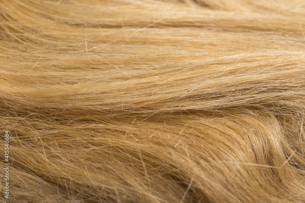 Fototapeta premium A full page of horizontal flax fibers texture. Common flax.