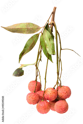 Lychee fruit. Fresh lychees fruit in isolated on white background 
