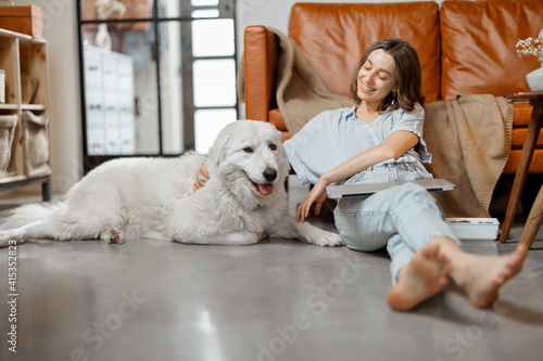 Fototapeta Naklejka Na Ścianę i Meble -  Cheerful woman working in laptop while sitting near sofa at home and playing with white dog. Digital nomad and work from home concept. High quality photo