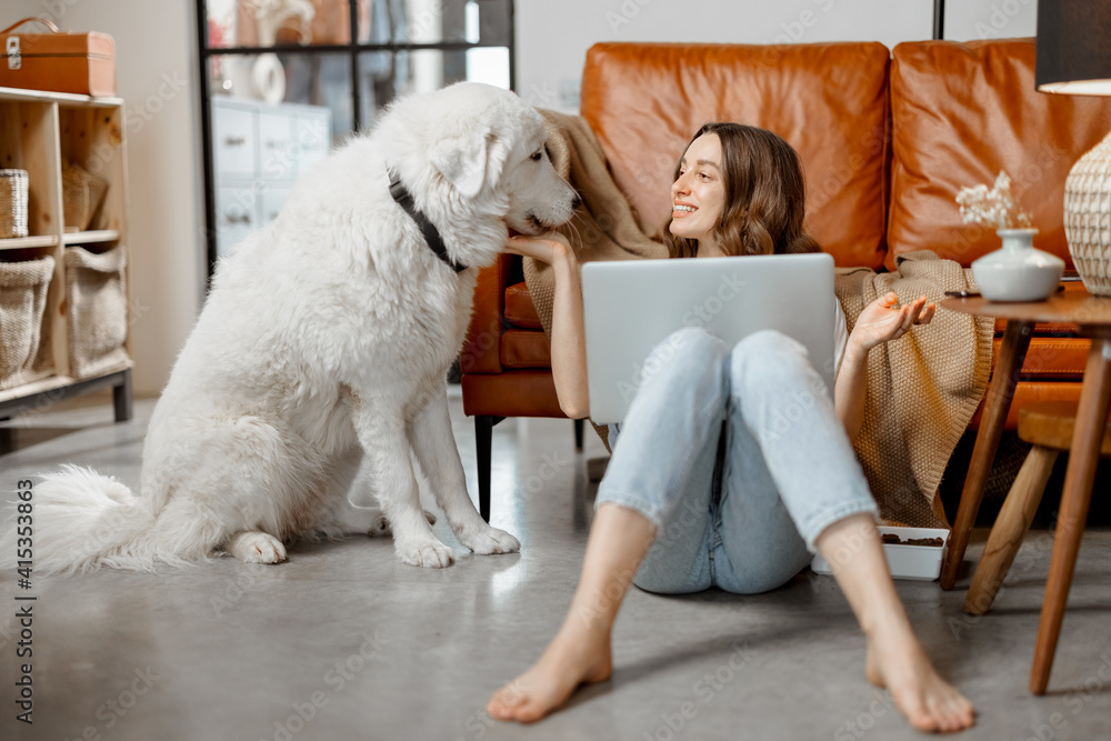 Cheerful woman working in laptop while sitting near sofa at home and playing with white dog. Digital nomad and work from home concept. High quality photo Cheerful woman working in laptop while sitting near sofa at home and playing with white dog. Digital nomad and work from home concept. High quality photo