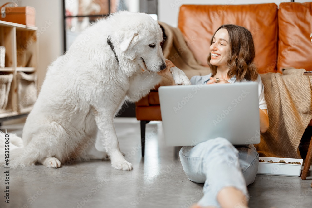 Cheerful woman working in laptop while sitting near sofa at home and playing with white dog. Digital nomad and work from home concept. High quality photo Cheerful woman working in laptop while sitting near sofa at home and playing with white dog. Digital nomad and work from home concept. High quality photo