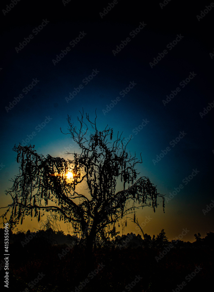 Naklejka premium Halloween tree, tree with scary shape in twilight light, Halloween background picture.
