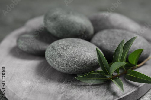 Spa stones and branch of plant on grey board, closeup