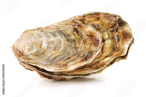 Fresh opened oyster on white background
