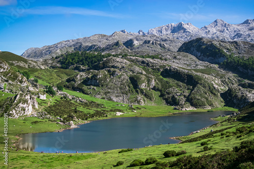 View of the entire Lake Ercina with the Picos de Europa as a majestic background. Photograph taken in the Covadonga Lakes, Asturias, Spain. 