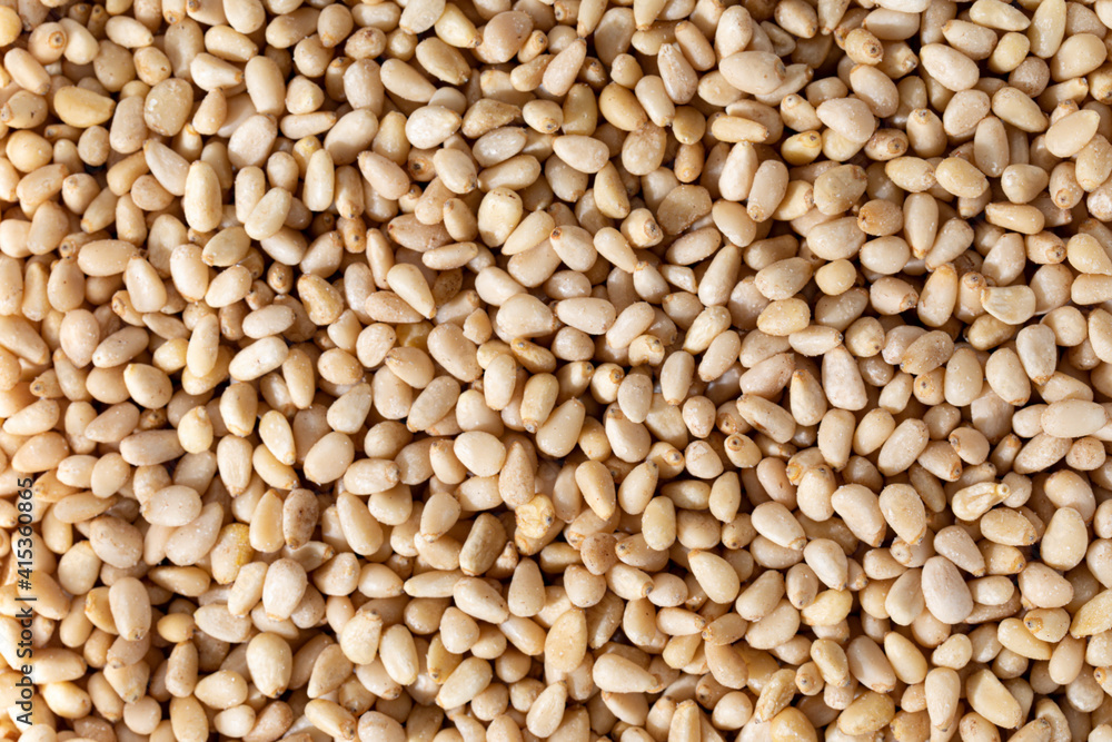 Full frame macro shot of ingredient raw pine nuts. Full frame macro shot of ingredient raw pine nuts.