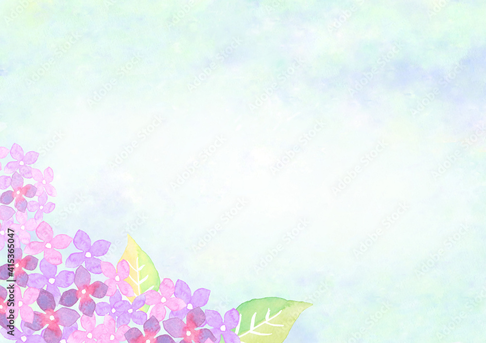 Fototapeta premium 水彩で描いた紫陽花の背景イラスト