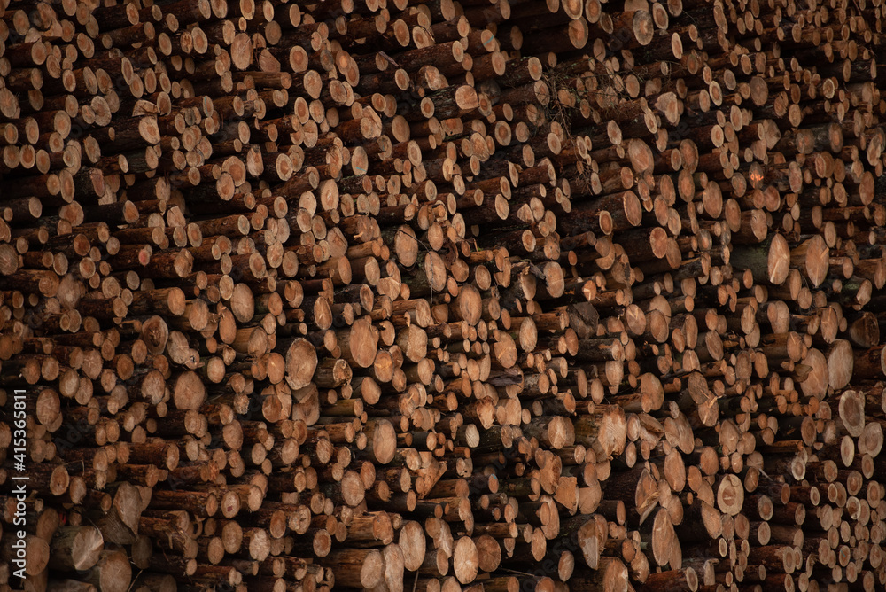 Background of cut wood logs stacked in a pile. wood for the production of chipboard Background of cut wood logs stacked in a pile. wood for the production of chipboard