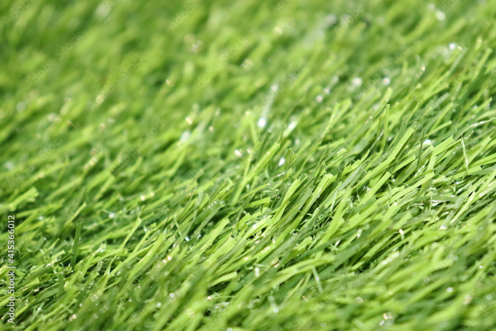 Fresh Grass Fresh Grass