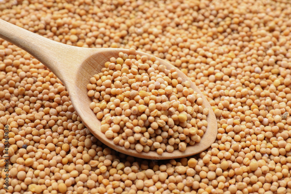 Mustard seeds with wooden spoon as background, closeup