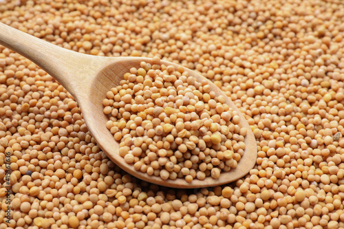 Mustard seeds with wooden spoon as background, closeup