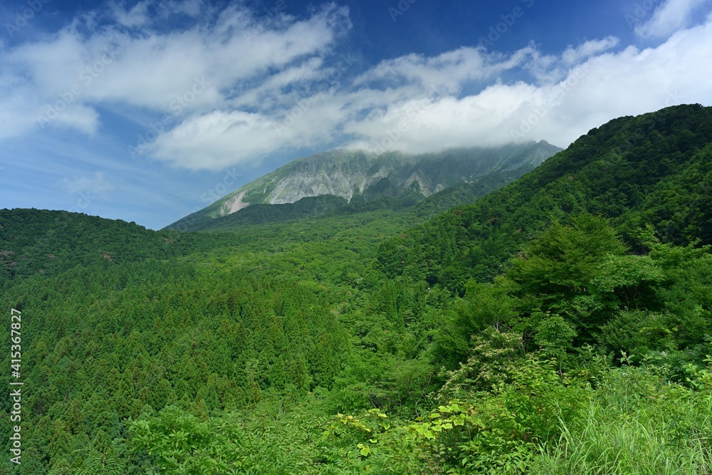 Fototapeta premium 夏の大山